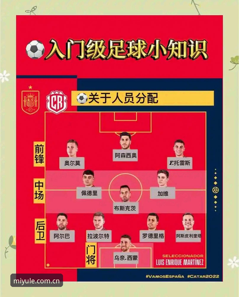 世界杯观赛签证难题深度解析——米乐体育平台用户操作指南